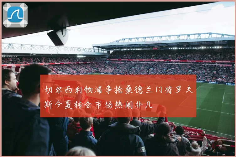 切尔西利物浦争抢桑德兰门将罗夫斯今夏转会市场热闹非凡